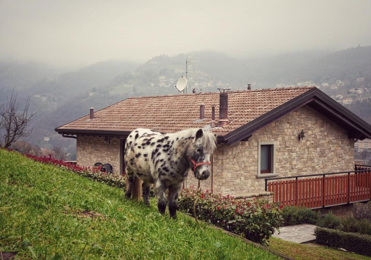 Casa Martina Séjour à la ferme Zogno